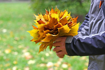 Bouquet of maple leaves.