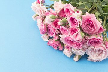 Bouquet of Pink Roses Isolated on Blue