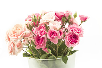Bouquet of Pink Roses Isolated on White