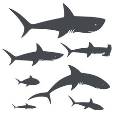 Shark fish. sea life. icons collection. vector illustration