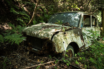 廃車（草むらに埋もれる廃棄自動車）