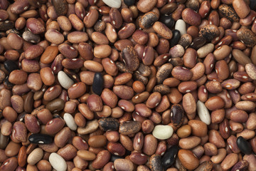 Dried pebble beans