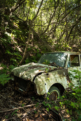 廃車（草むらに埋もれる廃棄自動車）