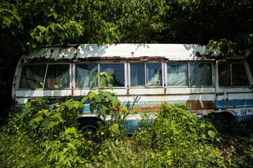 廃車（草むらに埋もれる廃棄自動車・バス）