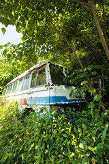 廃車（草むらに埋もれる廃棄自動車・バス）