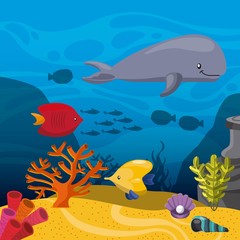 fish, coral and algae icon. Sea life design. Vector graphic