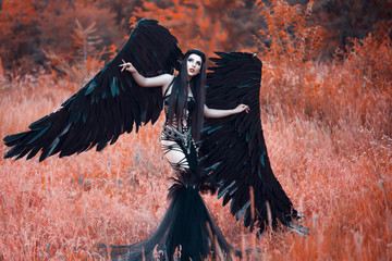 Black Angel. Pretty girl-demon with black wings. An image for Halloween. Image of an old book of...