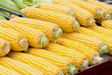 Peeled Corn Cobs