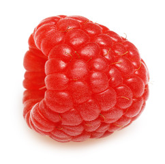 Raspberry ripe berry isolated