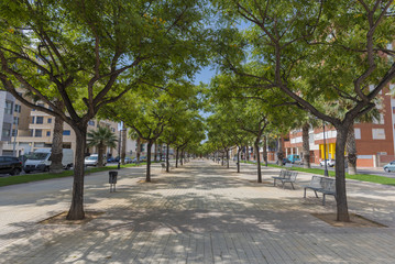 Boulevard Blasco Ibañez (Castellón, España).