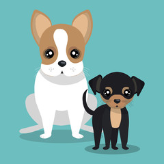 Fototapeta premium couple breed dogs isolated icon design, vector illustration graphic 