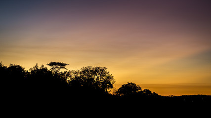 African sunset silhouette