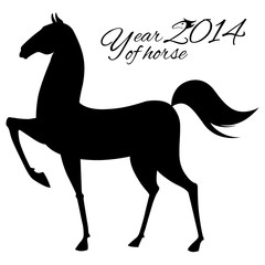 Horse silhouette on white background