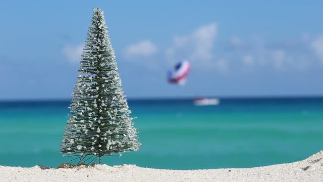 Christmas fir tree on sandy beach. New year celebration
