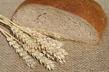 Ears of rye and black bread on burlap