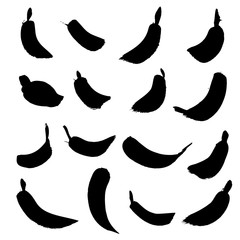 Set of hand drawn black paint stains