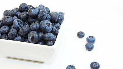 Blue bilberry
