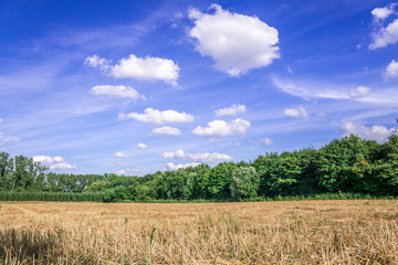Fototapeta premium Abgeerntetes Feld