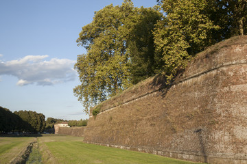 City Walls; Tuscany, Lucca