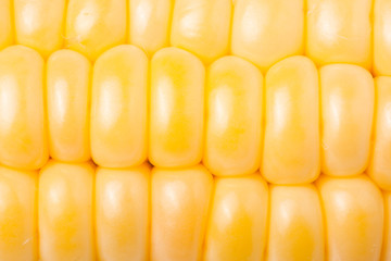 ear of corn as background close-up macro