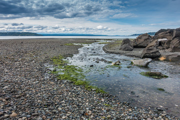 Puget Sound Landscape