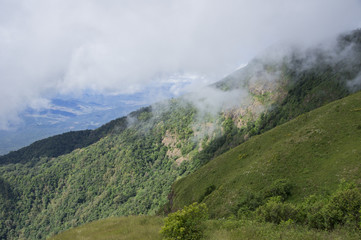 Beautiful green mountain landscape with trees
