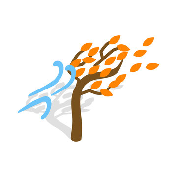 Autumn wind and tree icon in isometric 3d style isolated on white background. Weather symbol