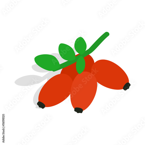 "Briar icon in isometric 3d style isolated on white background. Plant