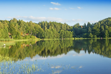 Obraz premium lake and green meadow near the water. Summer time