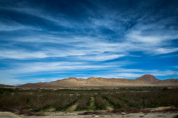 Agriculture in Marocco