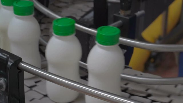 Dairy Plant. Conveyor with yogurt bottles.
