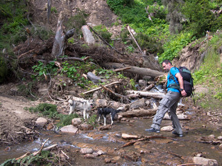 Lone traveler walking along the creek with two dogs