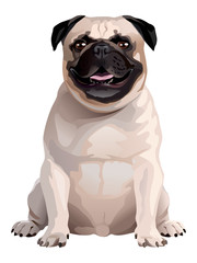 Pug illustration