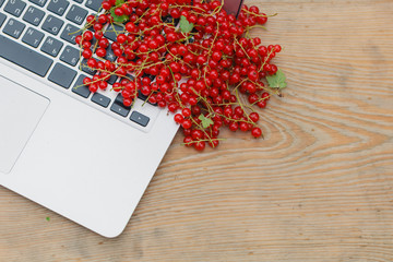 Work in summer garden on laptop