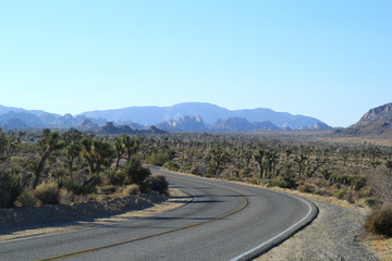 Joshua Tree National Park