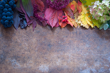 Autumn leaves and berries - obrazy, fototapety, plakaty
