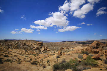 Joshua Tree National Park