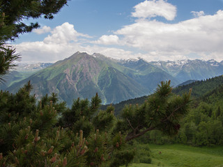 Fir branch on a background of the Caucasus Mountains with clouds