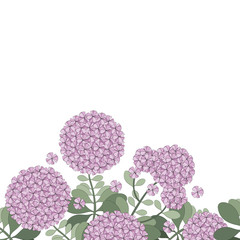 Floral hydrangea design background illustration