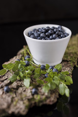 Fototapeta na wymiar Blueberry in white bowl on bark with moss