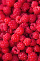 many red succulent raspberries