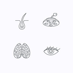 Eye, neurology brain and surgical lamp icons.