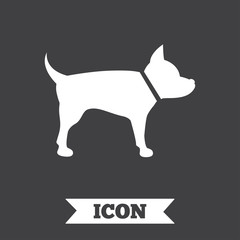 Dog sign icon. Pets symbol.