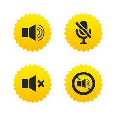 Player control icons. Sound, microphone and mute