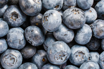 Blueberry background. Ripe and juicy fresh picked blueberries closeup