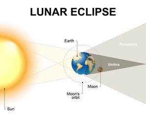 Fototapeta premium Lunar eclipse