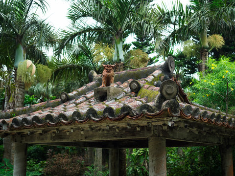 沖縄の屋根