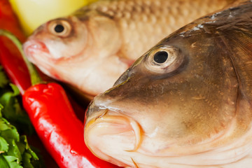Two fresh raw river fishes, carp and crucian