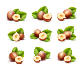 Full and Half Peeled Unpeeled Realistic Hazelnuts with Leaves