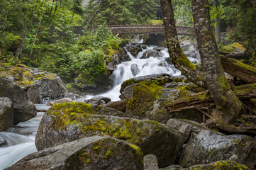 Obraz premium Deception Falls, Skykomish, Washington. Deception Creek crashes down a few steps, then glides over smooth rock under the highway and ends in a square, misty plunge before emptying into the Tye River.